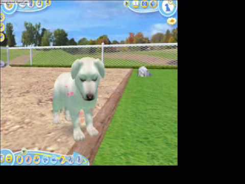 petz dogz 2 free online game